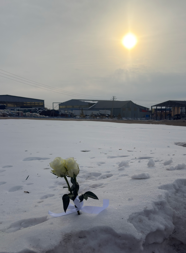 深度丨贺娇龙七日祭：昭苏人说，她就是一个普通人