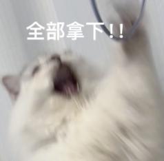 奥特曼64亿美元联手强纳肾：OpenAI冲刺硬件iPhone时刻