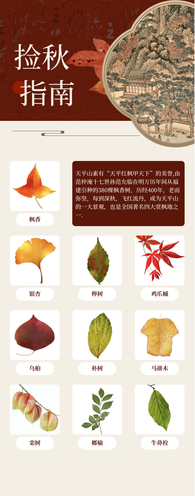 官宣！天平山红枫进入观赏期