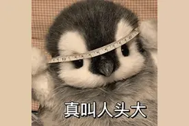 上海虹桥⇋浦东机场只需40分钟！市域机场线即将开跑，亮点抢先看→图片