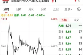 东晶电子闪崩再度触及跌停图片