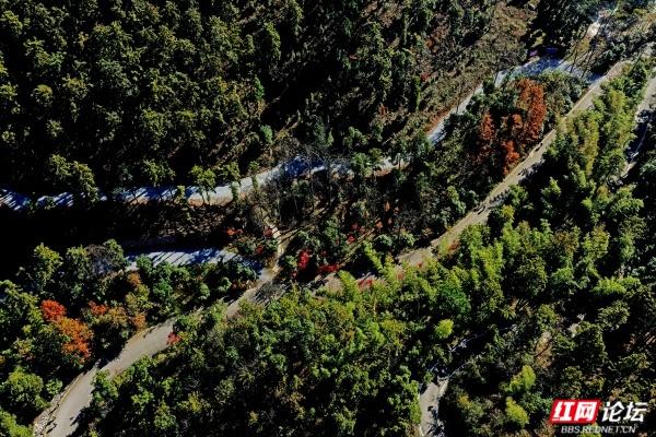 怀化中坡山，层林尽染的氧吧，市民天天逛、摄影家追着拍