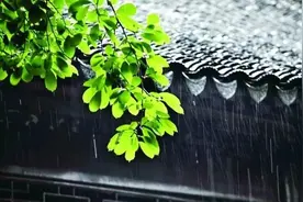 预防“梅雨病”，安然度黄梅图片