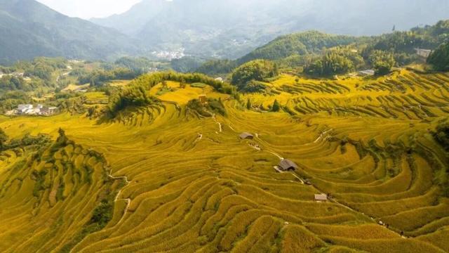 免费！上虞中小学生秋假福利来了