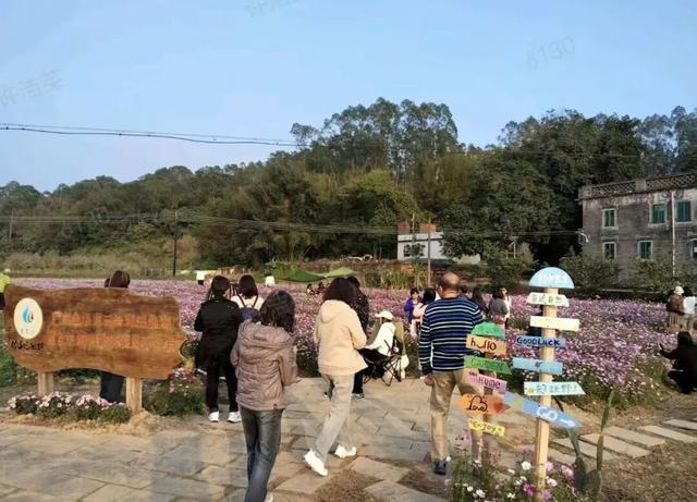 台山元旦假期接待游客24.49万人次，旅游收入超1.4亿