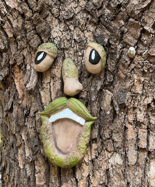 嘿，抬头！鸠江一公园，大树竟然长出“笑脸”了！