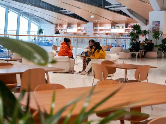 威海这两个过冬据点，看书看海治愈满分