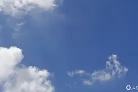 上海发布大风蓝色预警！请注意防范图片