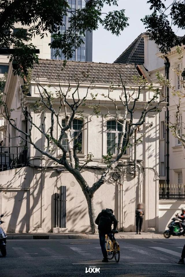 “今年元旦！我来静安只做1件事 ”