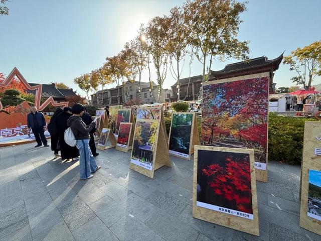 此时此刻，最美的栖霞山！