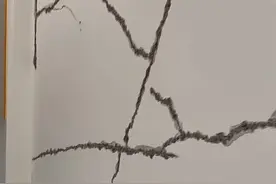 重庆一业主新房天花板开裂，建设局：初步推断系楼上装修材料导致楼板超载图片