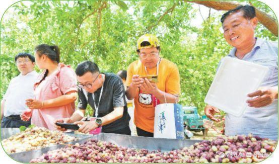 路畅景美百姓富：夏津以路为媒，激活黄河故道生态文旅双价值