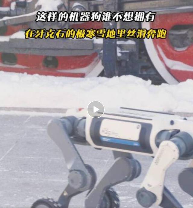 光影绽放中国行·跟着电影游呼伦贝尔：带你解锁海拉尔、牙克石的新玩法！