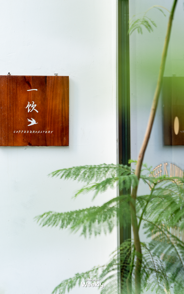 “深圳最能打的环湖小村，含绿量99%”