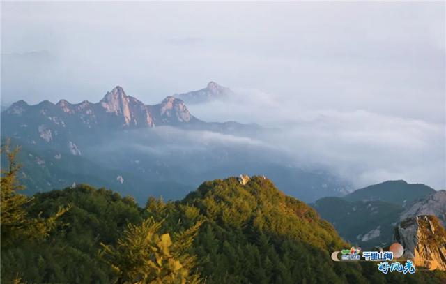 出发！抓住秋天的尾巴！威海“拾秋地图”上新啦