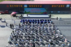 葡萄争“鲜”竞“美” 东营市垦利区举办“山东农技杯”第二届葡萄大赛图片