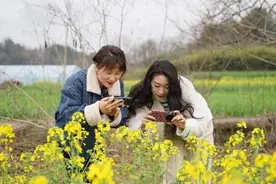 屯溪区： 油菜铺金 吸引市民打卡赏花图片