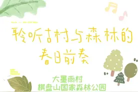 收藏！西山区这四条踏青徒步路线 带娃打卡两不误图片