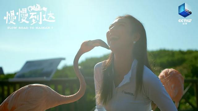 在这部纪录片里,一起去海南环岛旅游公路慢旅行