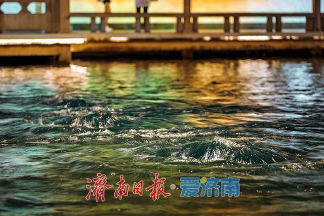 一年四季 泉在济南丨入夜时分游人如织，市民趵突泉畔纳凉成盛景