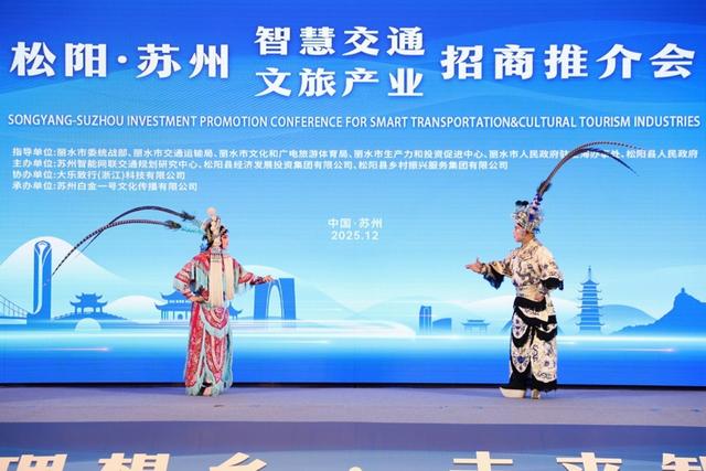 一手牵传统、一手向未来，松阳凭什么“热”力全开？