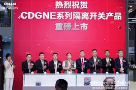 京东工业携手德力西电气 以数智化供应链提升行业采购体验和运营效率图片