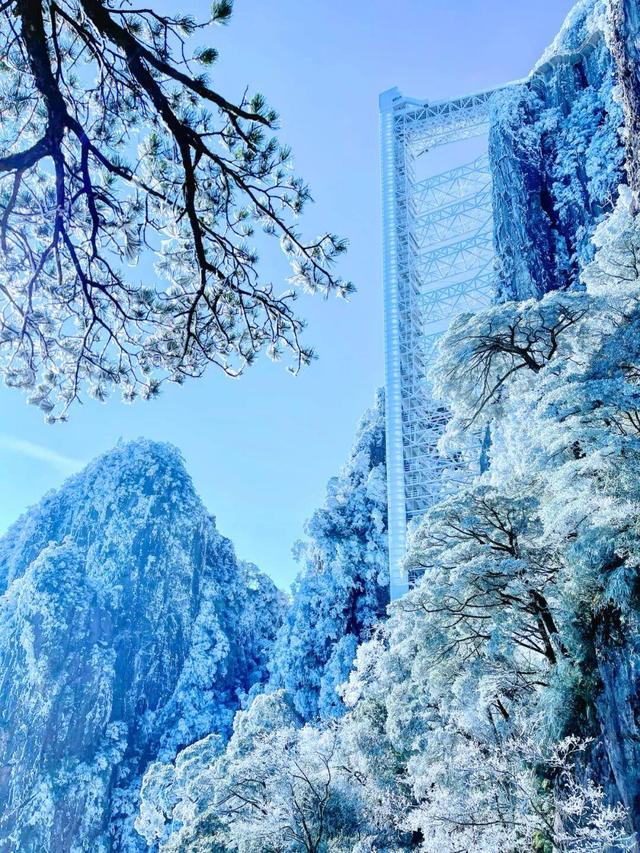 美到词穷！郴州首场雾凇惊艳上线