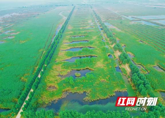 大通湖区：夏日来漉湖邂逅绝美生态“秘境”
