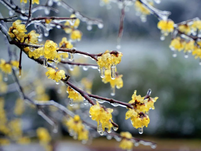 爱上如画江西的“冰火两重天”！