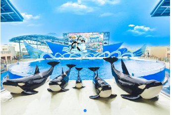 16+6，“走进申海”带你逛遍魔都海岸线