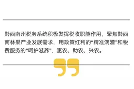黔西南税务：税惠助夏收 果农添动力图片