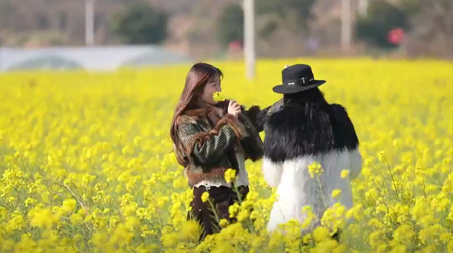 浙江冬日花海“提前营业” 赏花游激活文旅“小阳春”
