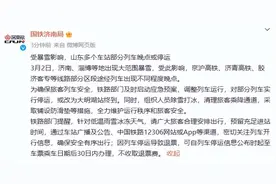 暴雪来袭！山东多个车站列车晚点或停运，济南中小学停课一天图片