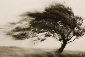 注意防范！台风“蝴蝶”致灾风险高，广东部分地区将有特大暴雨图片