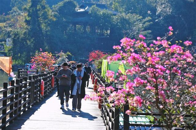 共绘新蓝图|湄公河旅游参加“滇西南协同•航旅创未来”航旅融合专项活动