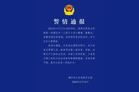 母女在公园遭4条大型犬撕咬 涉案2人被采取刑事强制措施 律师：或涉嫌以危险方法危害公共安全罪图片