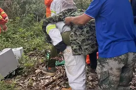 郴州老人被鬼头蜂围攻蜇伤昏迷，蜂针令人害怕！医生：过敏体质者被蛰或有生命危险图片