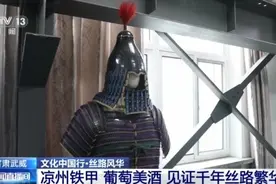 葡萄美酒夜光杯 唐代胡瓶里残留的白葡萄酒原来在这儿图片