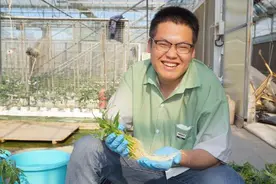 潍坊科技学院学生周子焱：“精诚育良种，只为繁得一柿红”图片