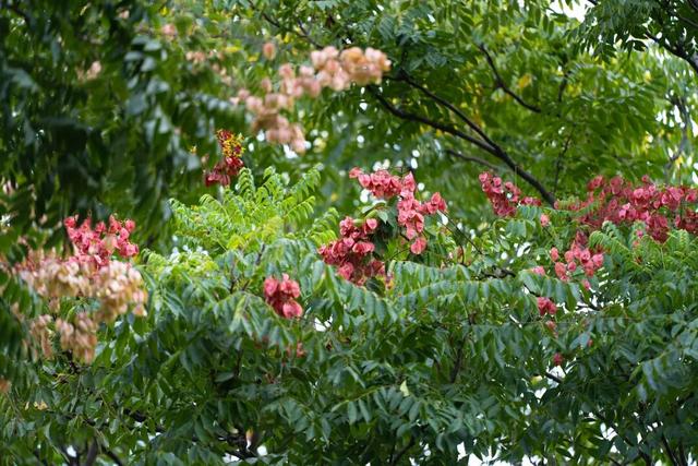 快抬头！秋日限定“天花板”上线啦