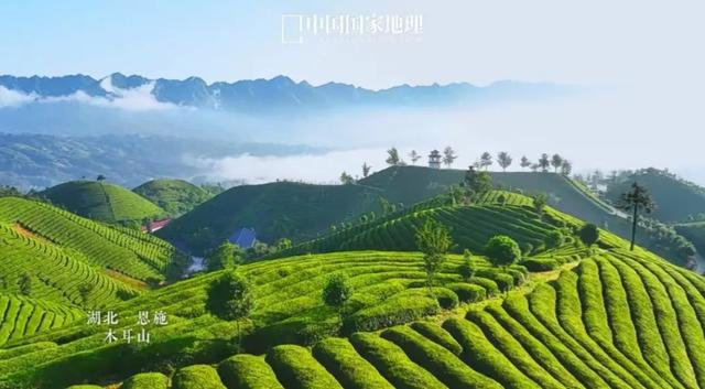 外交部赵立坚热情推荐的恩施这4个地方，究竟有多美？