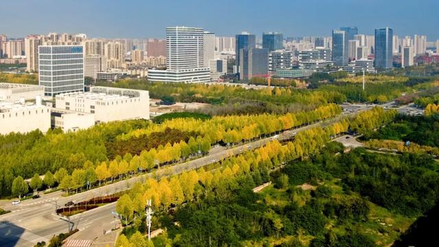 又是一年秋好处