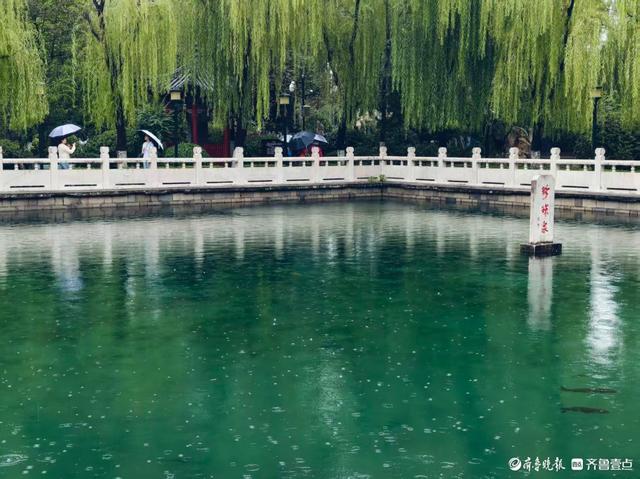 双节拍 | 雨中逛一逛，济南四大泉群之一——珍珠泉