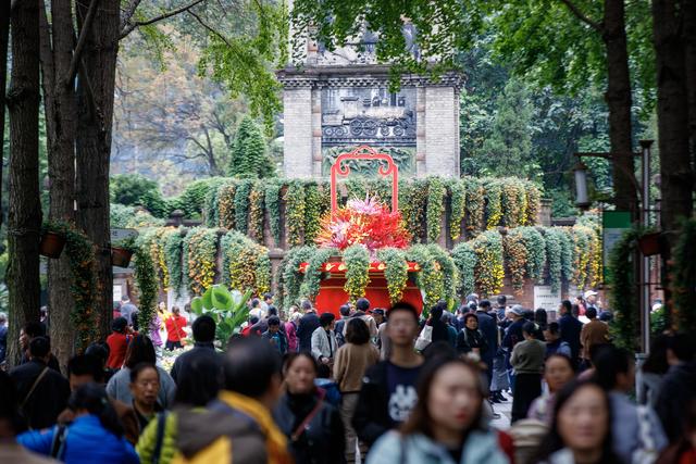 千株万朵菊花开，深秋又有春意来