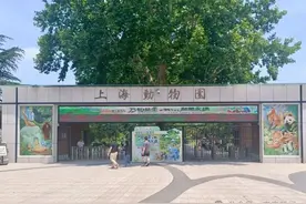 唯一母婴室在大门外，10月龄婴儿展馆内喝奶被赶出！上海动物园称做法合规，网友吵翻图片