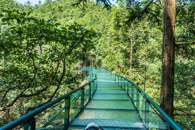 多重福利放送，重庆江津四面山邀你过七夕
