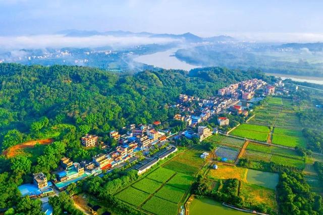 报名 | 2025年第十一届广州户外运动季绿美广州骑游活动暨“骑趣山野”山地骑行活动