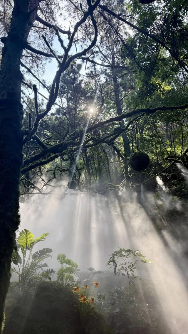 有趣！青岛又添新玩法！