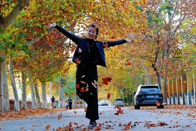 济源：梧桐叶落最多情