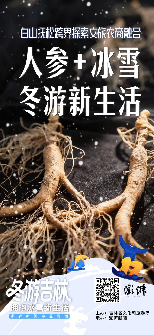 “人参+冰雪”跨界融合，白山抚松探索出冬季旅游新生活